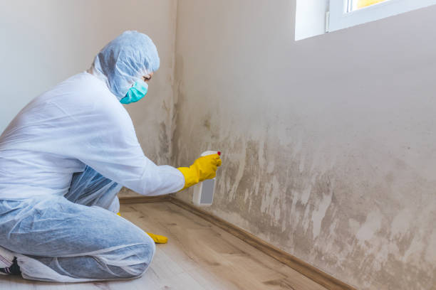 Best Toxic Mold Removal  in Deans, NJ