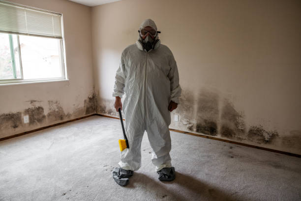 Best Residential Mold Removal  in Deans, NJ