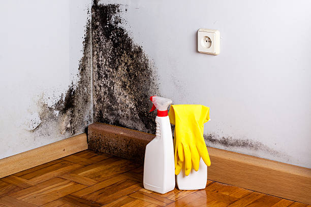 Best Crawl Space Mold Removal  in Deans, NJ