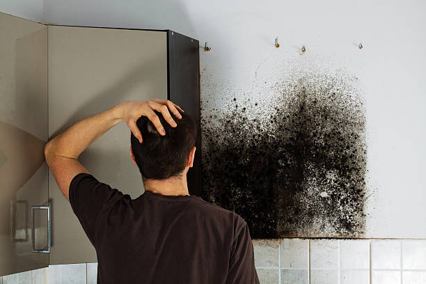 Best Mold Testing  in Deans, NJ